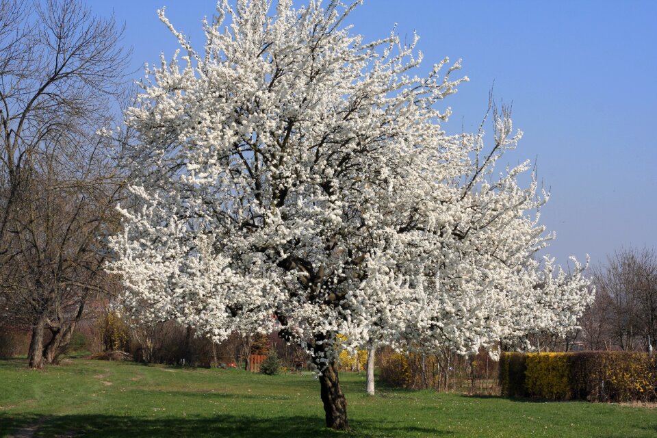 Nature park spring