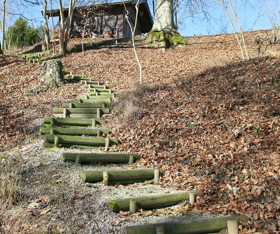 Gradually emergence wooden ladders