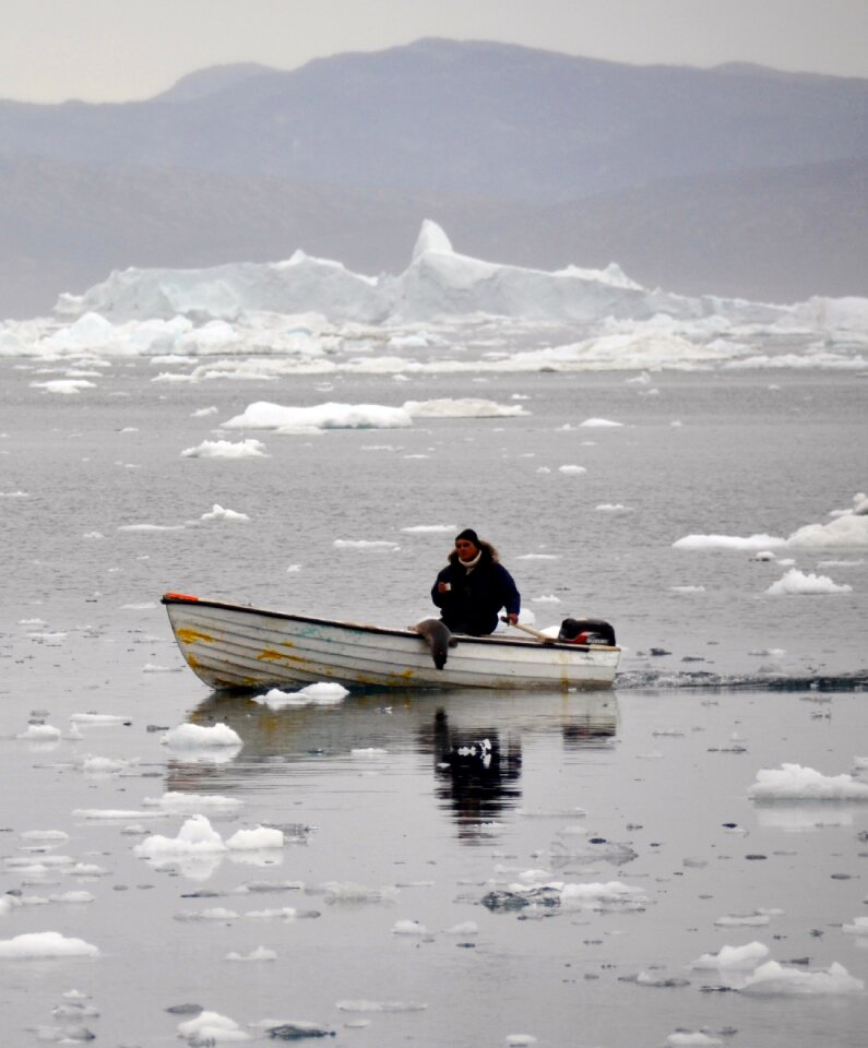 Robben hunter icefjord greenland