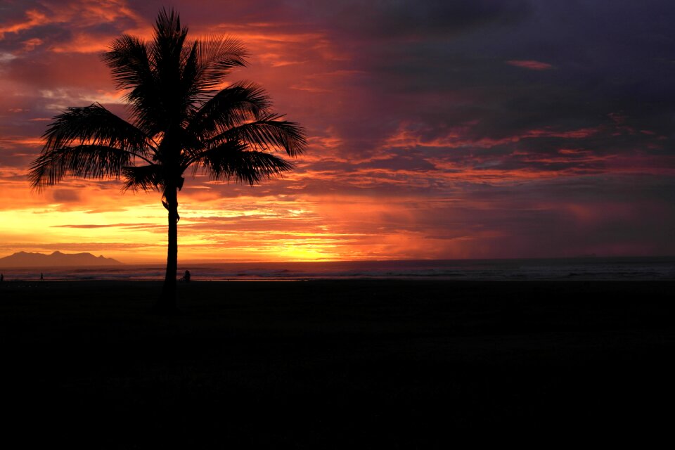 Nature horizon dawn