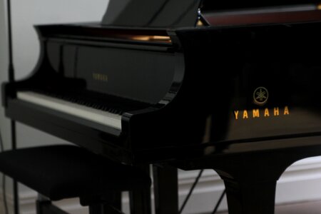 Grand piano concert ivory photo
