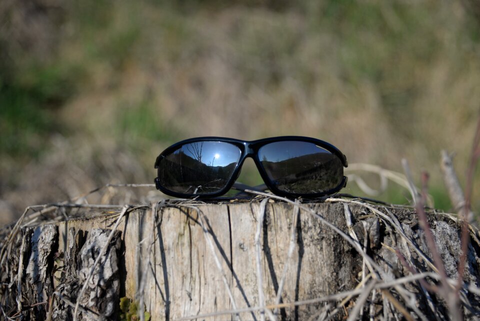 Sunglasses tree stump mirroring