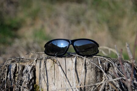 Sunglasses tree stump mirroring