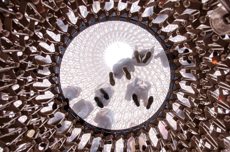 Architecture construction hive