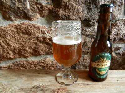 Homebrew cup bottle