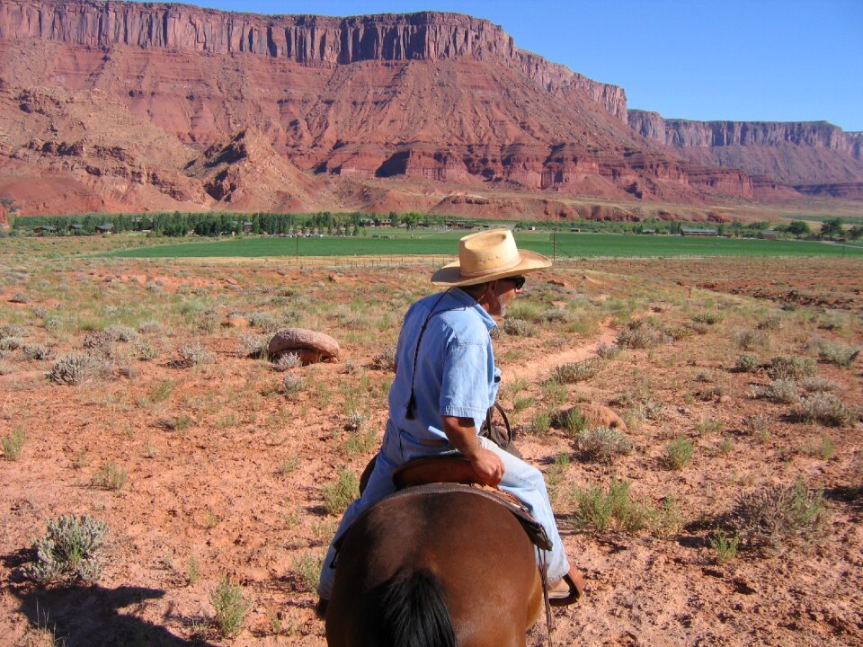 Horse knight colorado river