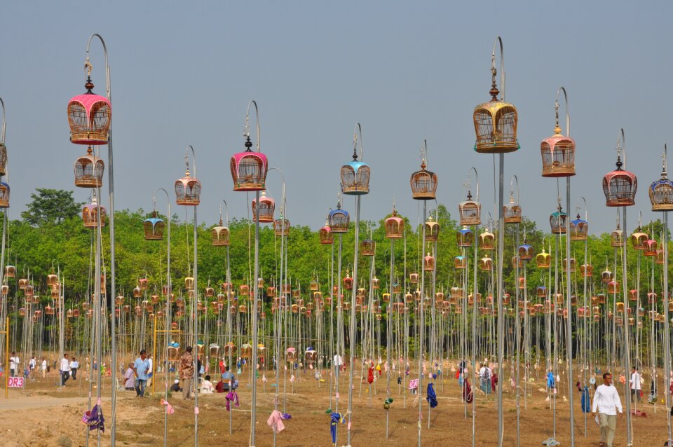 Narathiwat cage farm