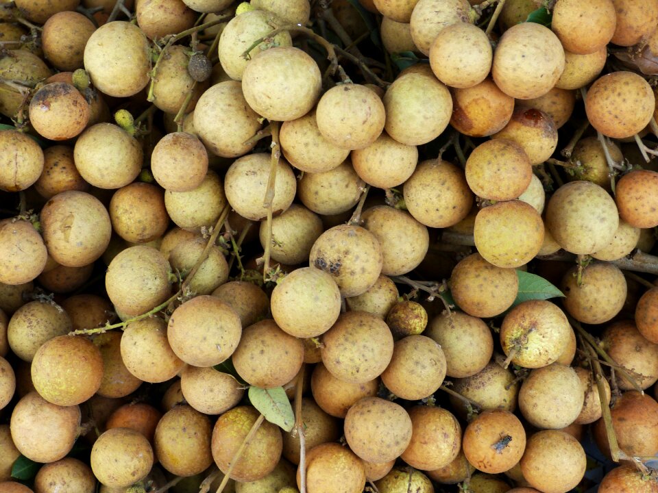 Shopping nutrition vietnam