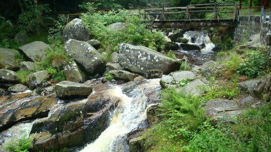 Creek nature rock photo