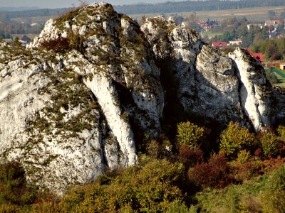 Rock nature limestone