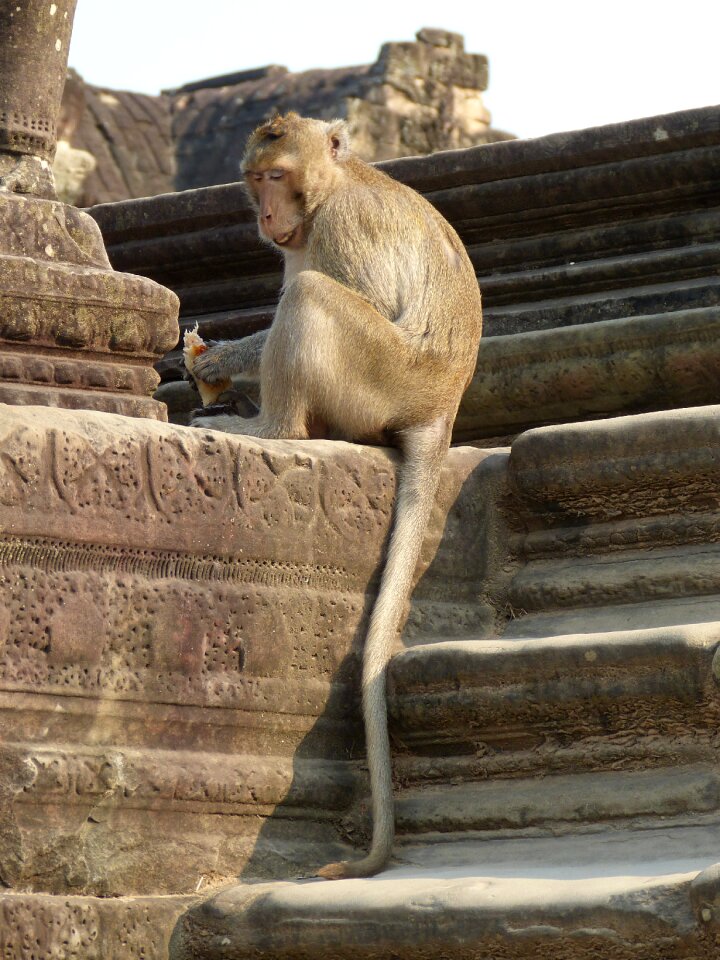 Angkor wat history historically
