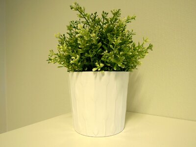 Green flower flowerpot photo