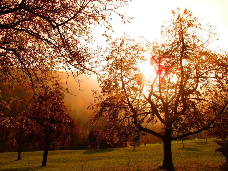 Sun sunset abendstimmung