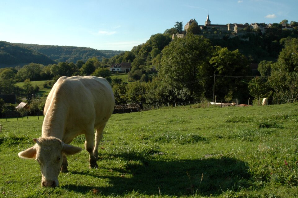Landscape meadow village