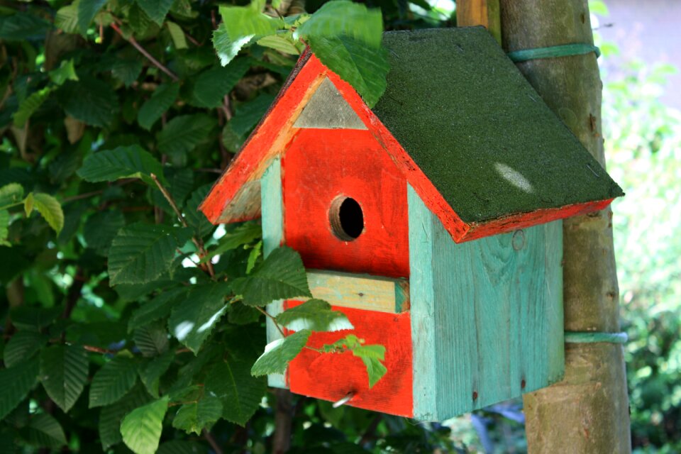 Bird nest house photo