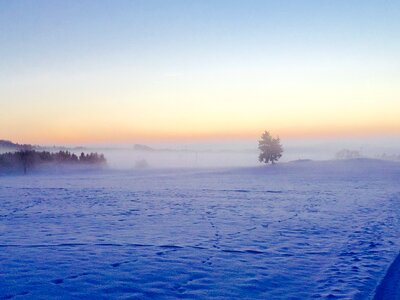 Cold winter magic nature
