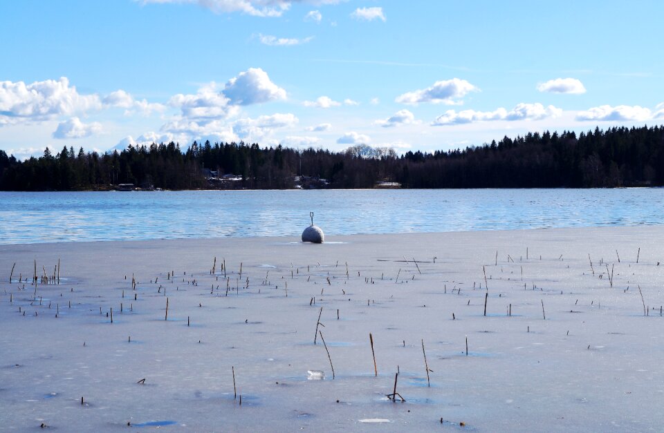 Spring ice ice reed