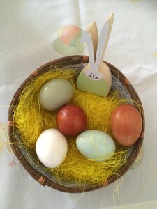 Easter nest eggs in natural colors rabbit photo