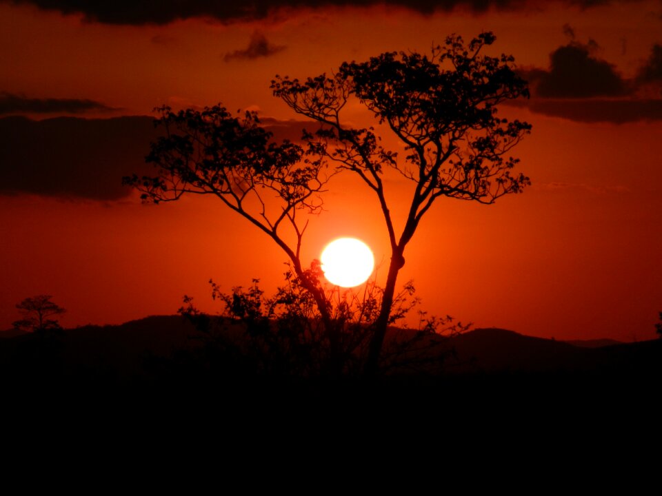 Rays of sunshine nature landscape