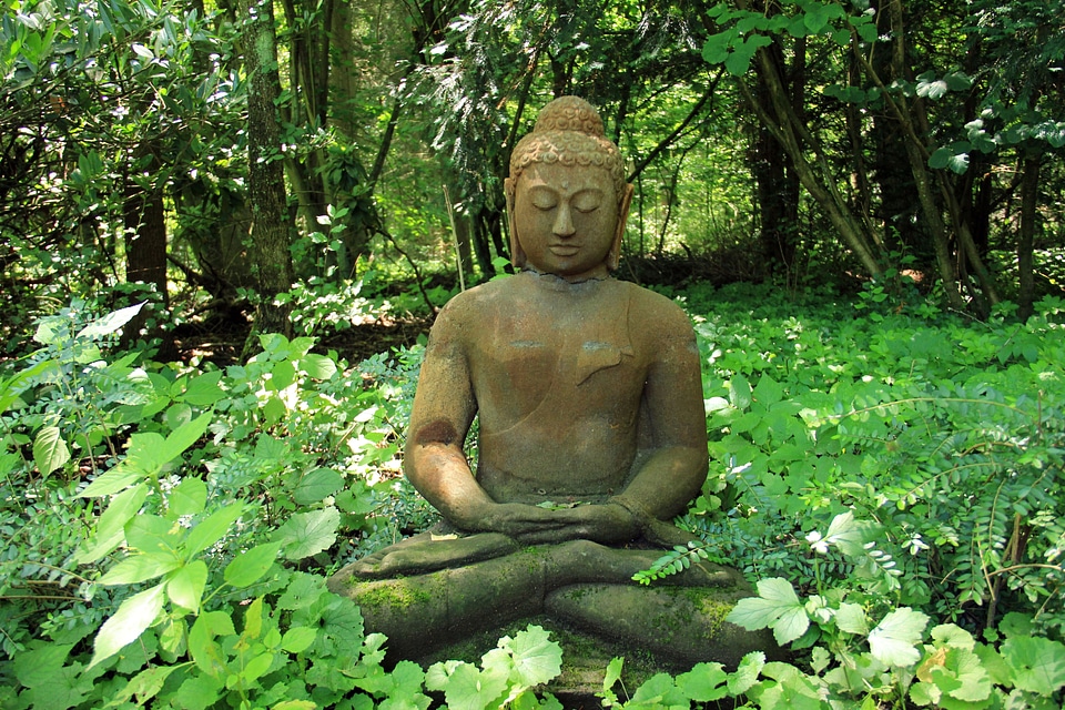 Recovery nature green