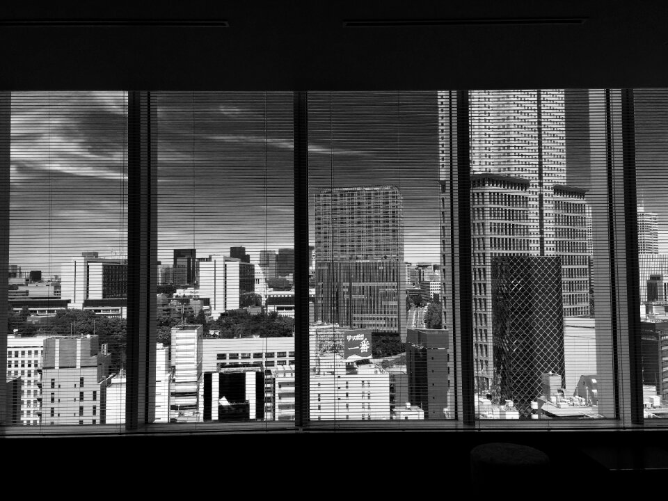 City view windows black and white