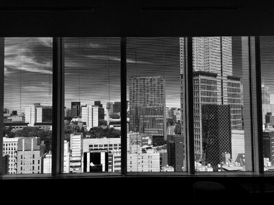 City view windows black and white