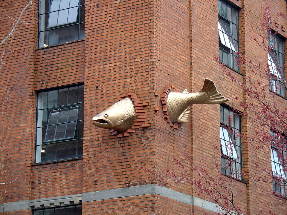 Bricks portland fish