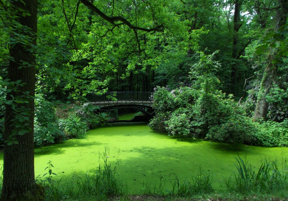 Green nature park