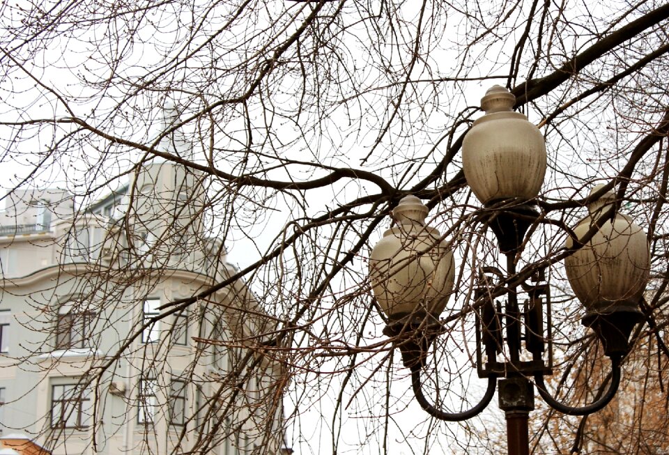 Branch city old town