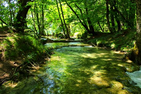 Flow water flowing photo