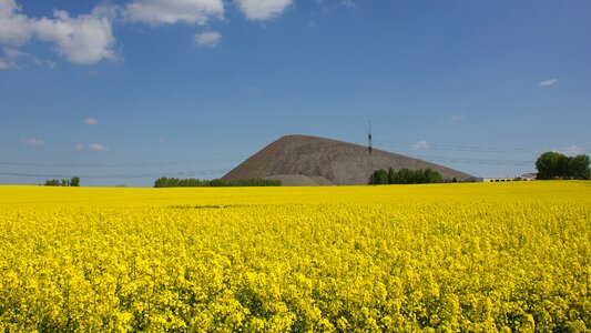 Mining mansfeld-südharz nature