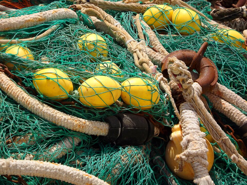 Fisherman fang coast