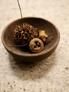 Dried flowers bowl wood photo
