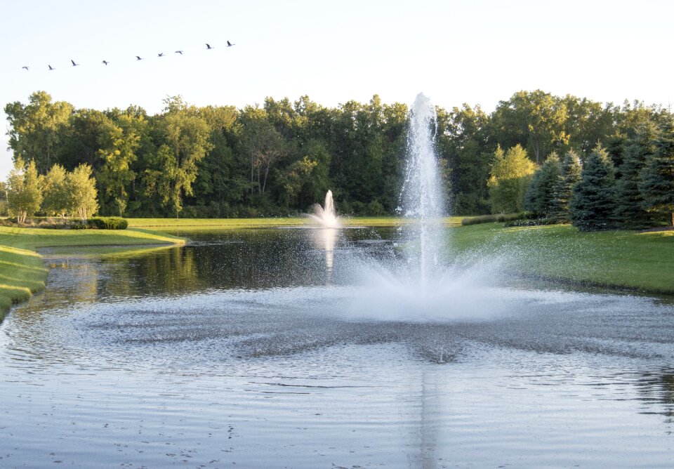 Water pond nature