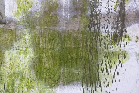Grunge graffiti green