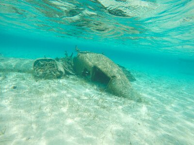 Blue scuba diving photo