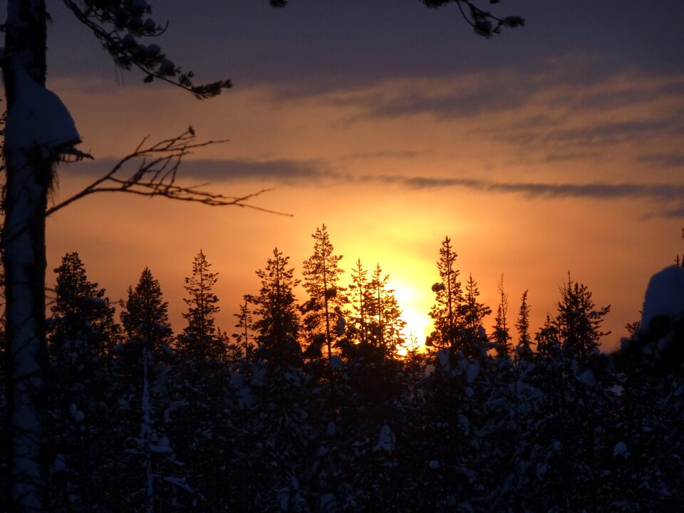Evening sky romantic sun
