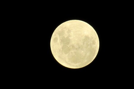 Moon night full moon