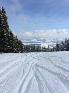 Skiing nature wintry photo