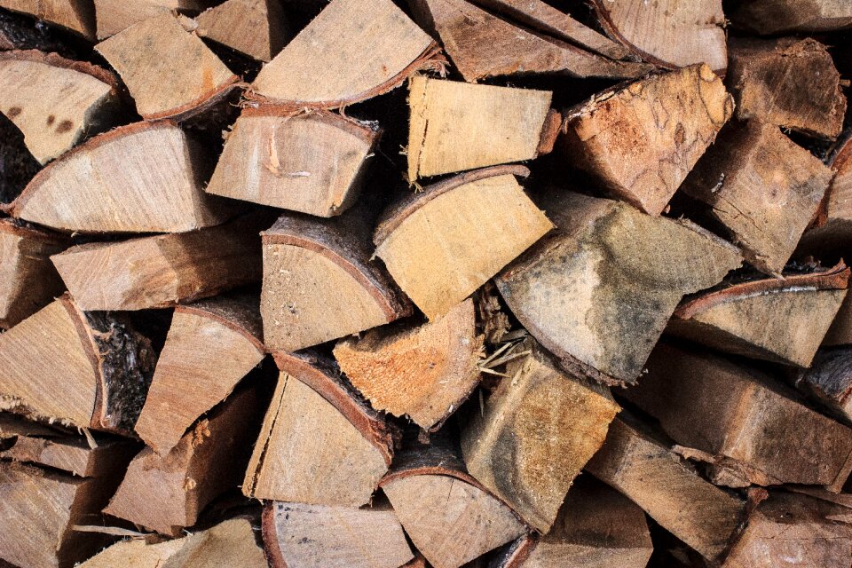 Firewood nature dacha