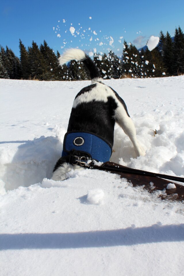 Hiking cold dig