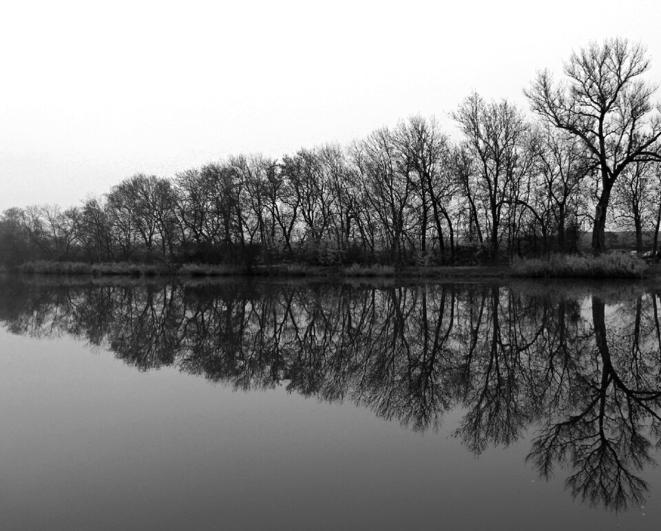 Water-level nature reflection