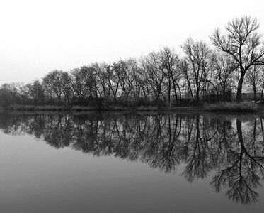 Water-level nature reflection