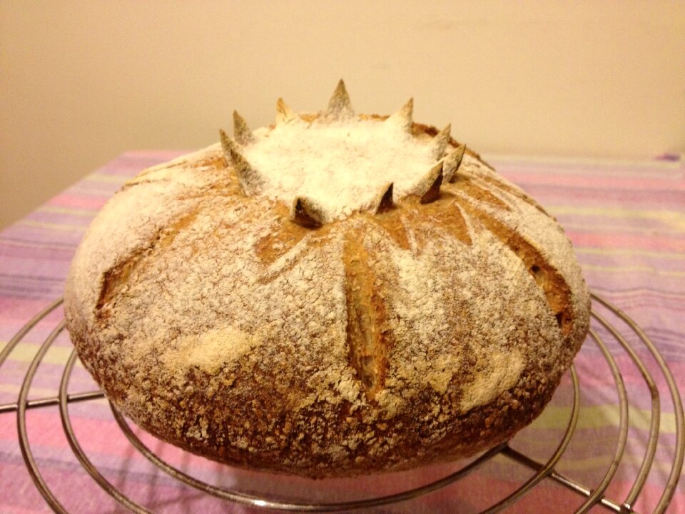 Yeast food homemade