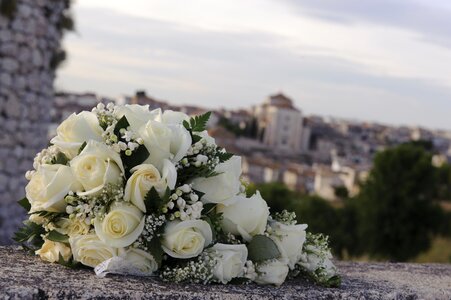 Bouquet white rose wedding photo