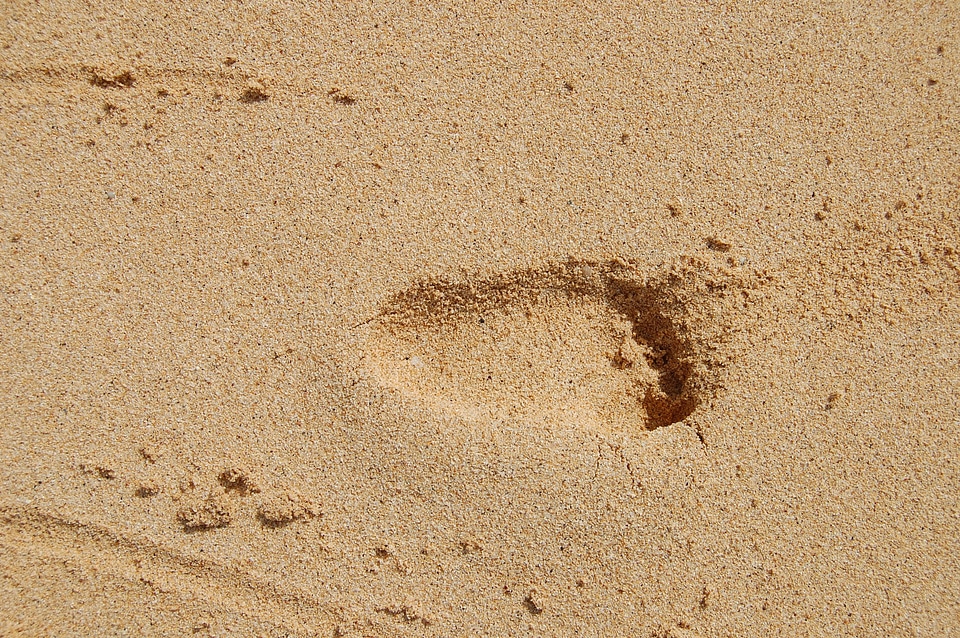 Beach little tracks