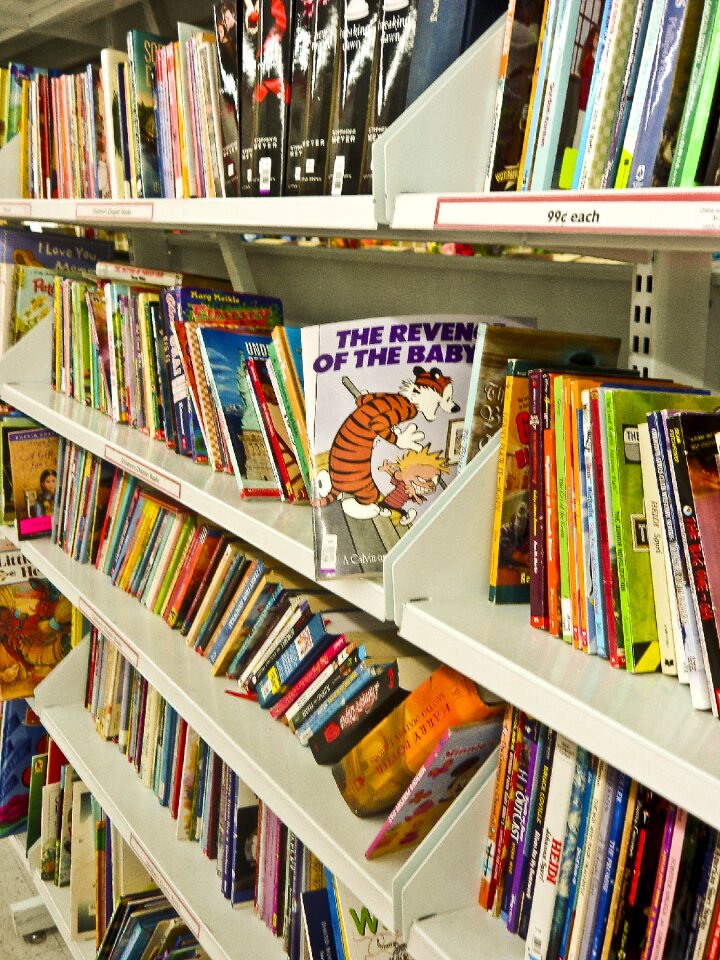 Calvin and hobbes paper read