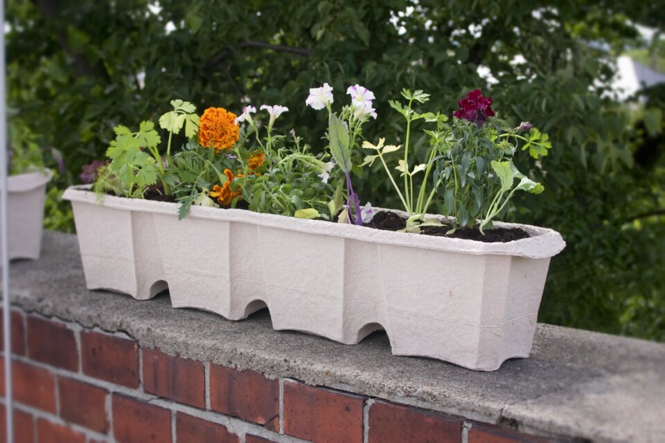 Flowers crate plant waste paper