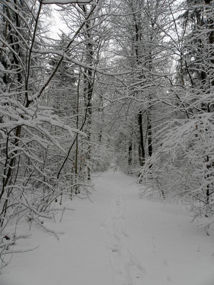 Wintry white cold
