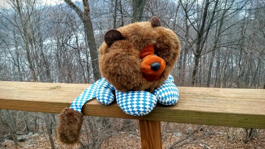 Toy stuffed checkered